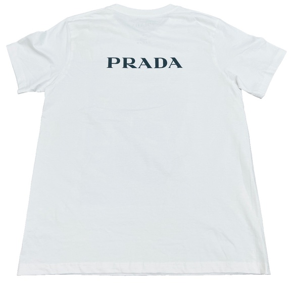 Prada The Italian Dobermans - Picture 2 of 5